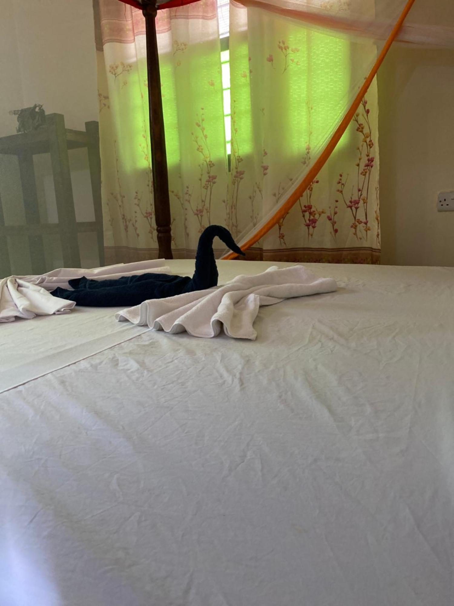 Bed and breakfast Falcon House Kendwa Extérieur photo