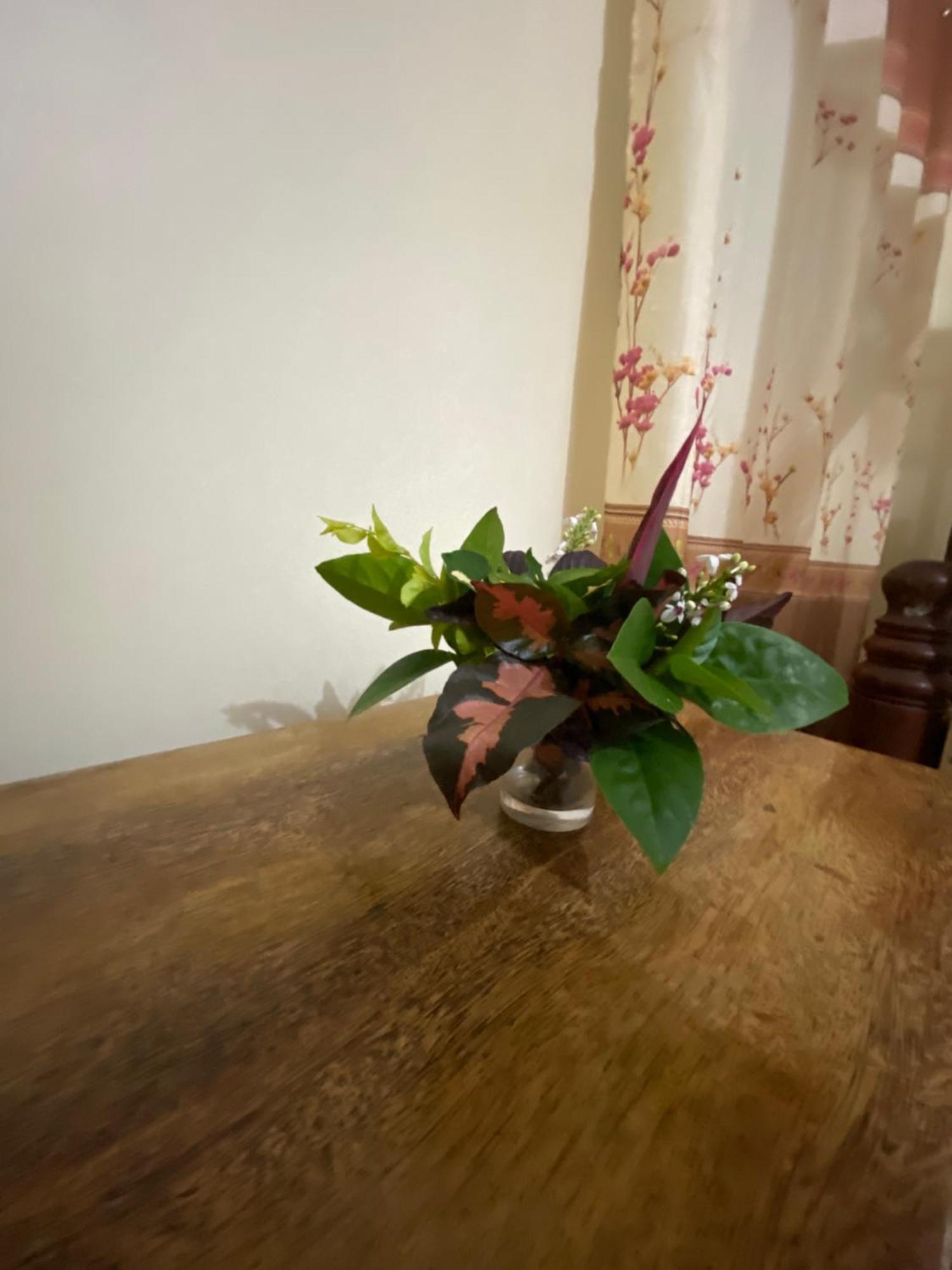 Bed and breakfast Falcon House Kendwa Extérieur photo